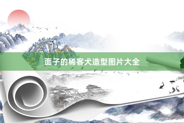 面子的稀客犬造型图片大全